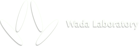 ĸꡧWada Laboratory